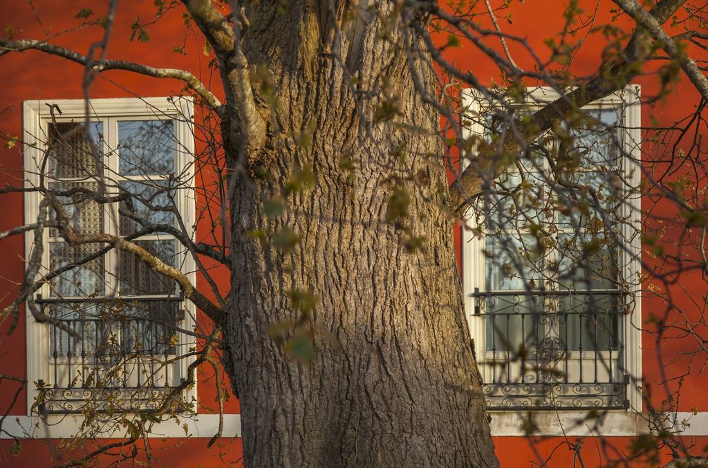 Casona De La Paca Ξενοδοχείο Cudillero Εξωτερικό φωτογραφία